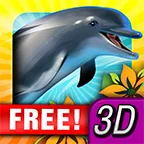 Dolphin2025���ذ�װv1.0.10 ��Ѱ�