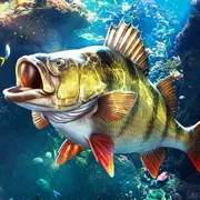 ���ֵ����ʦ(ģ�������Ϸ)v1.0.0.206127 app